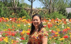 日本一码二码三码区别在哪